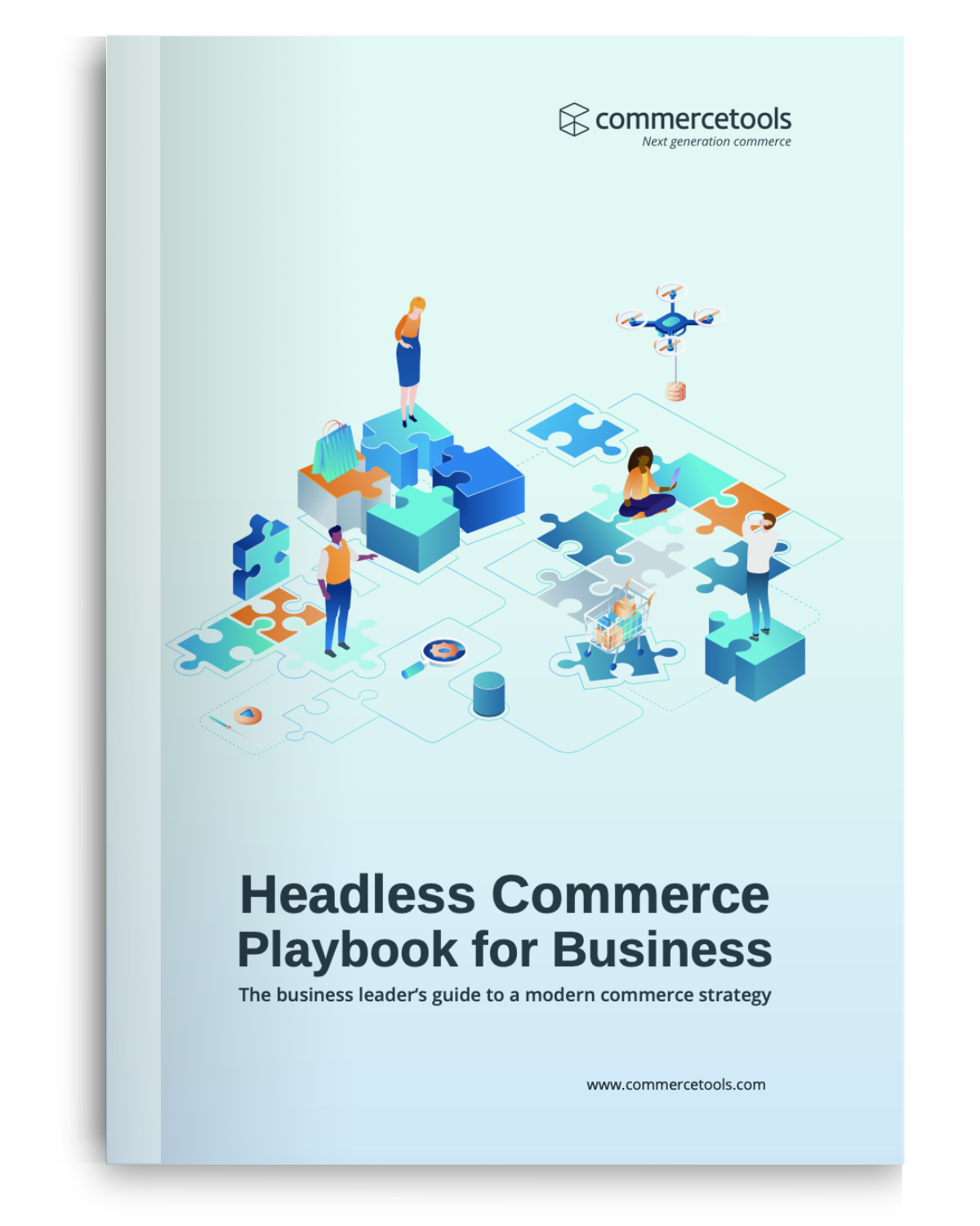 Headless Playbook for Business Leaders