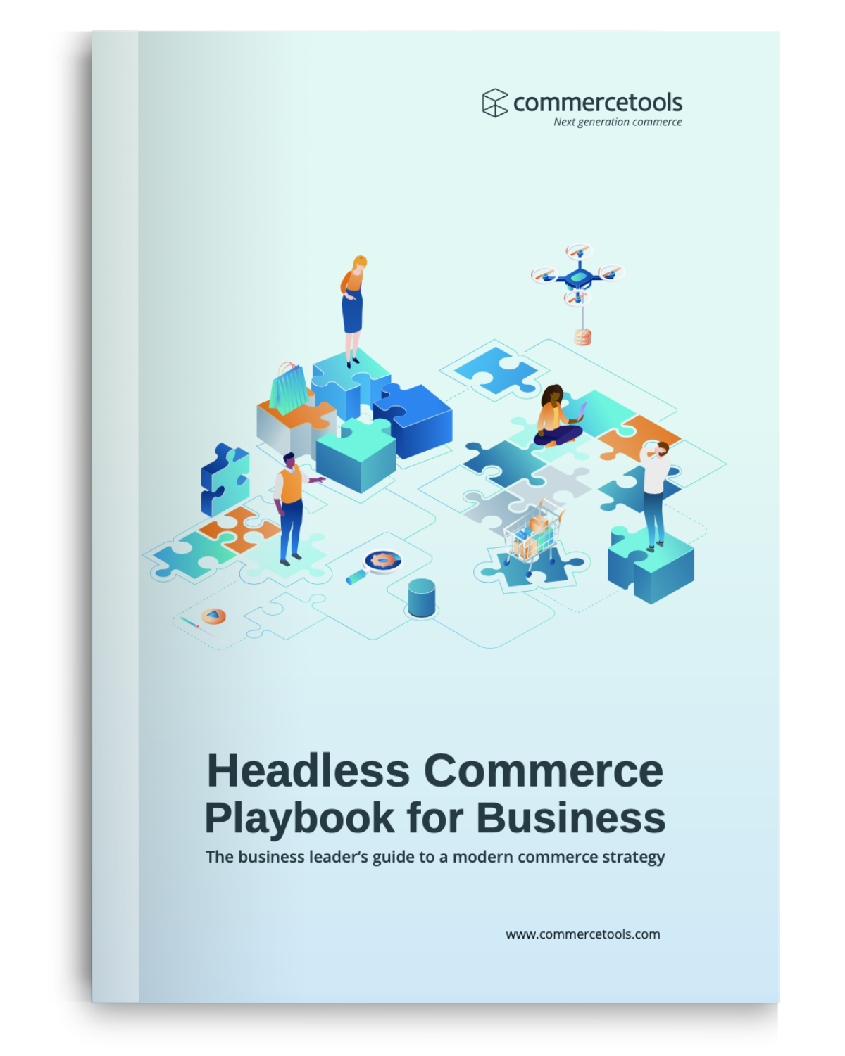 Headless Commerce Playbook for Business Leaders